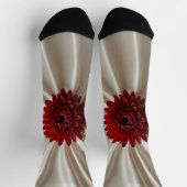 ジャパ地球に優しナセ色のメンソックス ソックス (上部)