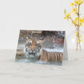 ジャファル カード (黄色い花)