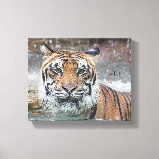 ジャファル キャンバスプリント (正面)