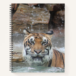 ジャファル ノートブック