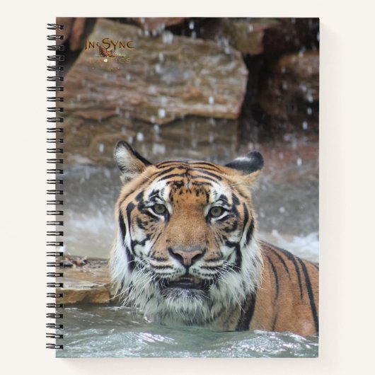 ジャファル ノートブック (正面)