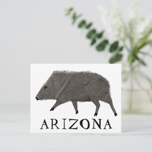 ジャベリーナアリゾナ砂漠ワイルドアニマルペカリー自然 ポストカード (スタンド正面)