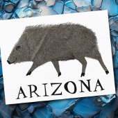 ジャベリーナアリゾナ砂漠ワイルドアニマルペカリー自然 ポストカード