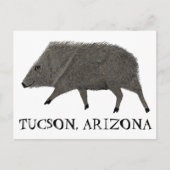 ジャベリーナツーソンデザートワイルドアニマルペカリー自然 ポストカード (正面)