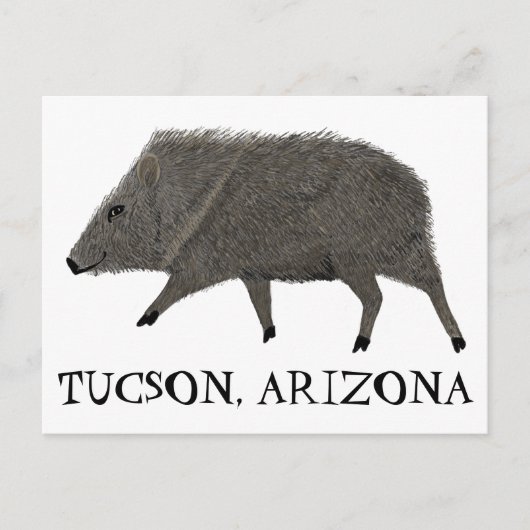 ジャベリーナツーソンデザートワイルドアニマルペカリー自然 ポストカード (正面)