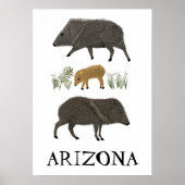 ジャベリーナファミリーポートレート砂漠の動物アリゾナ ポスター (正面)