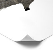 ジャベリーナファミリーポートレート砂漠の動物 ポスター (角)