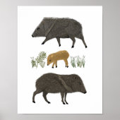 ジャベリーナファミリーポートレート砂漠の動物 ポスター (正面)