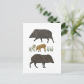 ジャベリーナファミリーポートレート砂漠の動物 ポストカード (スタンド正面)