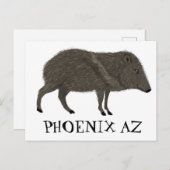 ジャベリーナフェニックスデザートワイルドアニマルペカリー自然 ポストカード (正面/裏面)