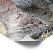 ジャベリーナ フォトプリント            (角)