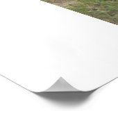 ジャベリーナ。 ポスター (角)