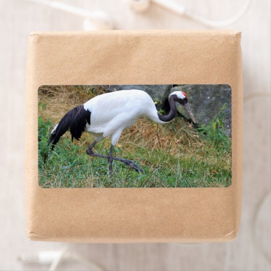 ジャポネンス ラベル (インサイチュ)