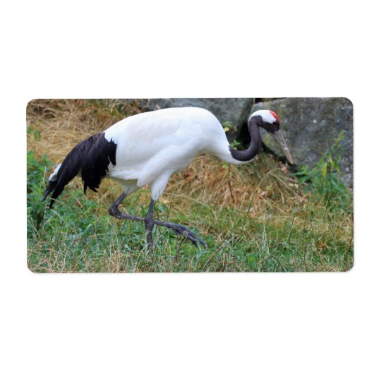 ジャポネンス ラベル (正面)