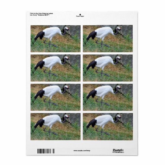 ジャポネンス ラベル (フルシート)