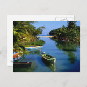 ジャマイカのオチョリオス付近の風光明媚な川 ポストカード (正面/裏面)