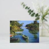 ジャマイカのオチョリオス付近の風光明媚な川 ポストカード (スタンド正面)