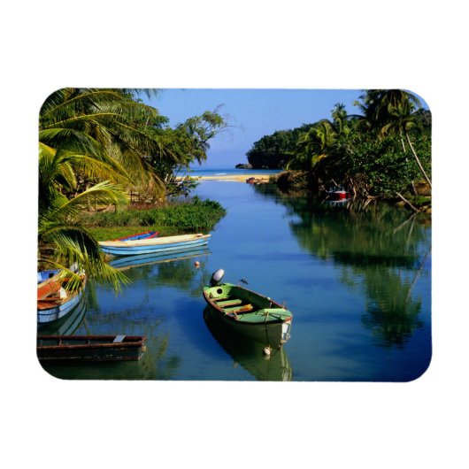 ジャマイカのオチョリオス付近の風光明媚な川 マグネット (横)