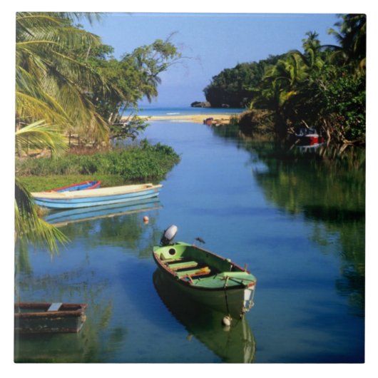 ジャマイカのオチョリオス近くの名勝の川 タイル (正面)