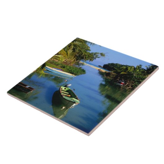 ジャマイカのオチョリオス近くの名勝の川 タイル (側面)