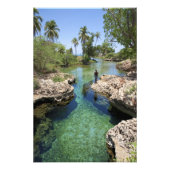 ジャマイカのブラックリバータウン、アリゲーターホール フォトプリント (正面)