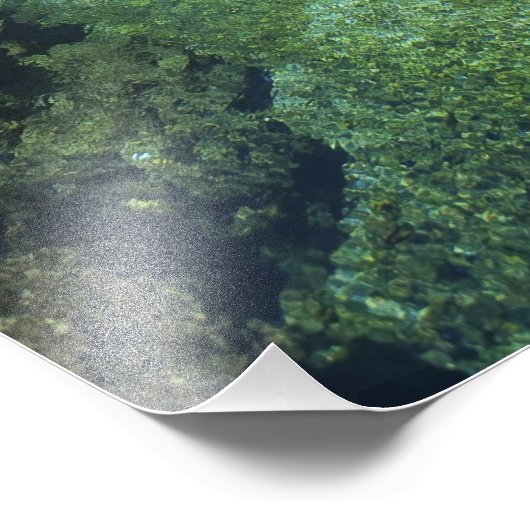 ジャマイカのブラックリバータウン、アリゲーターホール フォトプリント (角)