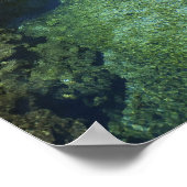 ジャマイカのブラックリバータウン、アリゲーターホール ポスター (角)