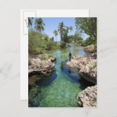 ジャマイカのブラックリバータウン、アリゲーターホール ポストカード (正面/裏面)