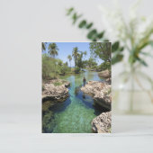 ジャマイカのブラックリバータウン、アリゲーターホール ポストカード (スタンド正面)