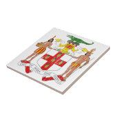 ジャマイカの紋章付き外衣 タイル (側面)