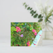 ジャマイカの花 ポストカード (スタンド正面)