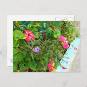 ジャマイカの花 ポストカード (正面/裏面)