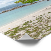 ジャマイカの閑静なビーチの木のポスター ポスター (角)