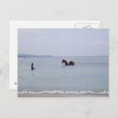 ジャマイカはがき ポストカード (正面/裏面)