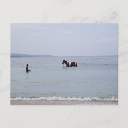 ジャマイカはがき ポストカード (正面)