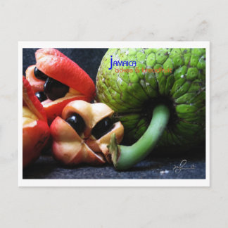 ジャマイカアクキーフルーツ&ブレッドフルーツ ポストカード
