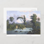 ジャマイカカバリータリバーウェストモーランド ポストカード (正面/裏面)