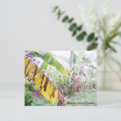 ジャマイカカントリーガーデン ポストカード (スタンド正面)