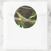 ジャマイカグリーンリザード ラウンドシール (バッグ)