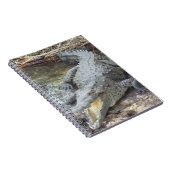 ジャマイカソルトウォーターワニ ノートブック (右側)