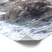 ジャマイカソルトウォーターワニ ポスター (角)