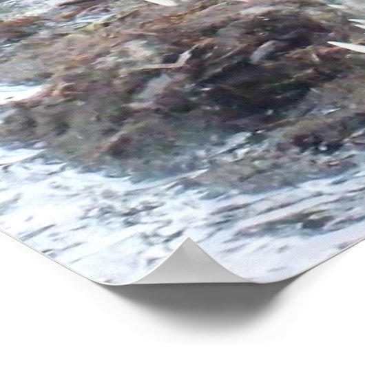 ジャマイカソルトウォーターワニ ポスター (角)