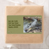 ジャマイカソルトウォーターワニ ラベル (インサイチュ)