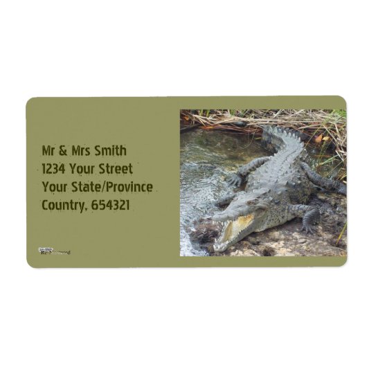 ジャマイカソルトウォーターワニ ラベル (正面)