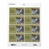 ジャマイカソルトウォーターワニ ラベル (フルシート)