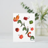 ジャマイカチリペッパー ポストカード (スタンド正面)