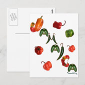 ジャマイカチリペッパー ポストカード (正面/裏面)