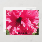 ジャマイカハイビスカスポストカード ポストカード (正面/裏面)