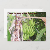 ジャマイカバナナマンポストカード ポストカード (正面/裏面)