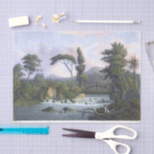 ジャマイカバリタリバーウェストモーランド 薄葉紙 (クラフト)